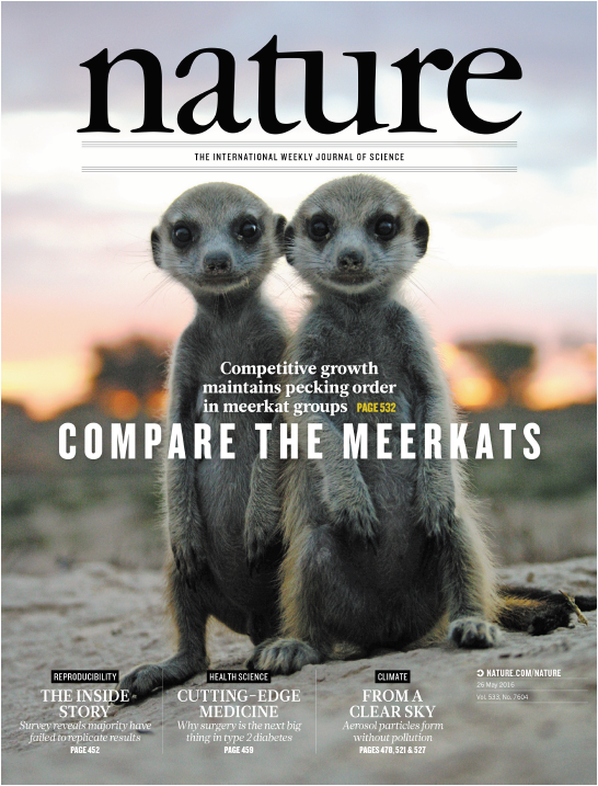 Nature期刊封面故事5
