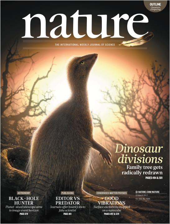 Nature期刊封面故事17