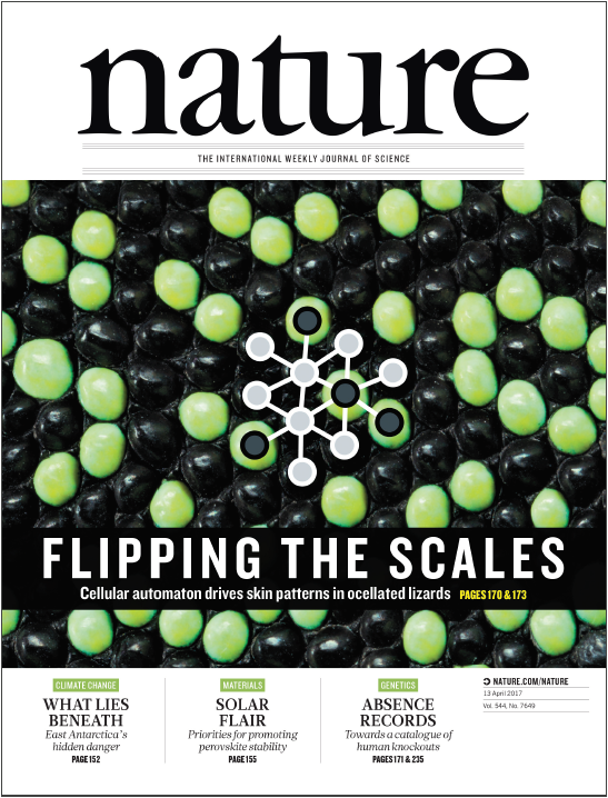 Nature期刊封面故事19