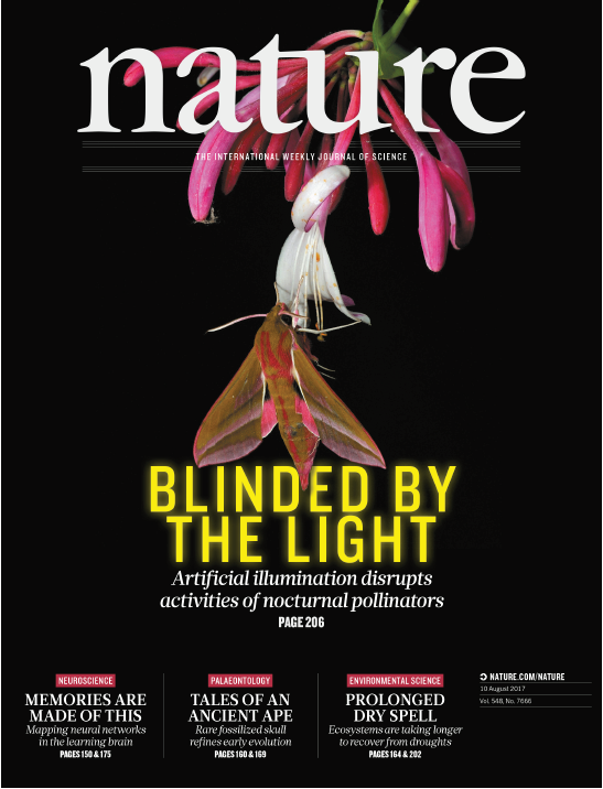 Nature期刊封面故事25