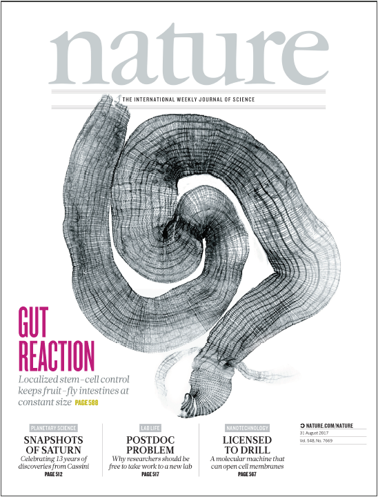 Nature期刊封面故事27