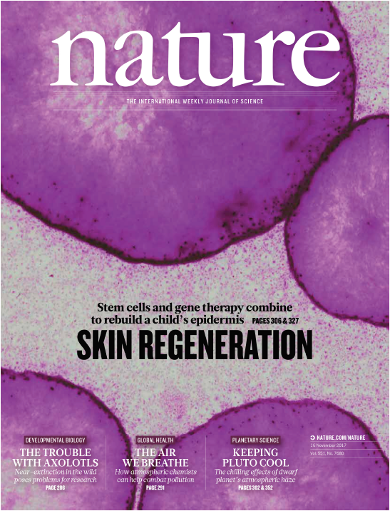 Nature期刊封面故事34